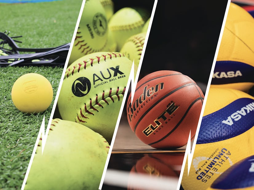 Lacrosse ball, softball, basketball and volleyball