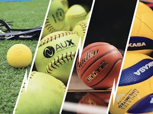 Lacrosse ball, softball, basketball and volleyball