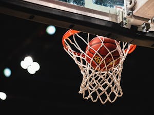 Basketball falls into net.